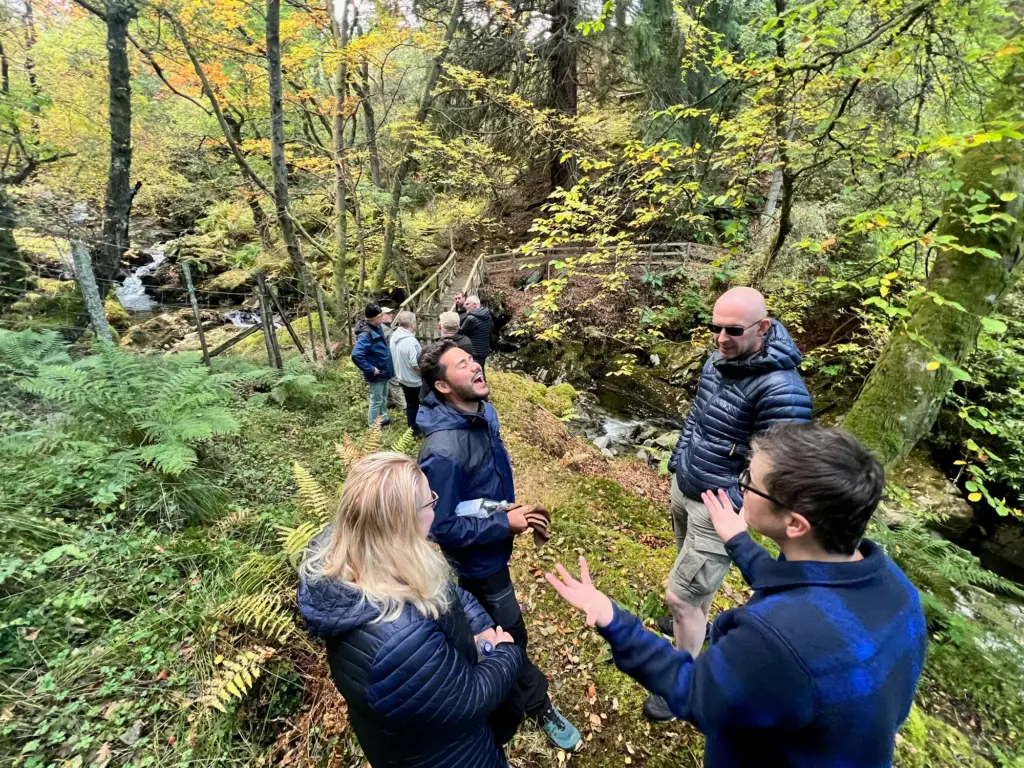 A small group debating ideas on a forest walk